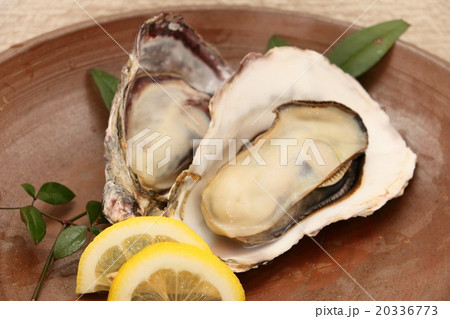 備前焼と牡蠣 20336773