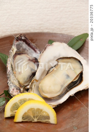 備前焼と牡蠣 20336775