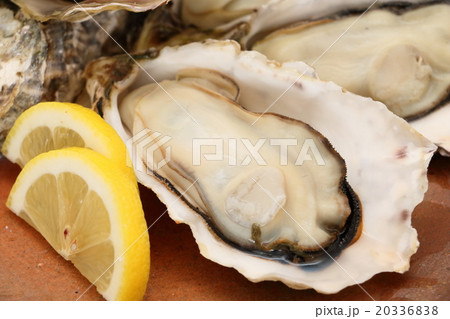 備前焼と牡蠣 20336838