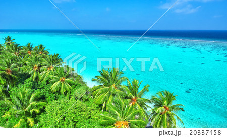 Shoreline of a tropical island in the Maldives  20337458