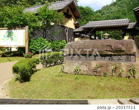 ささやまの森公園 ささやまの森公園 20337513