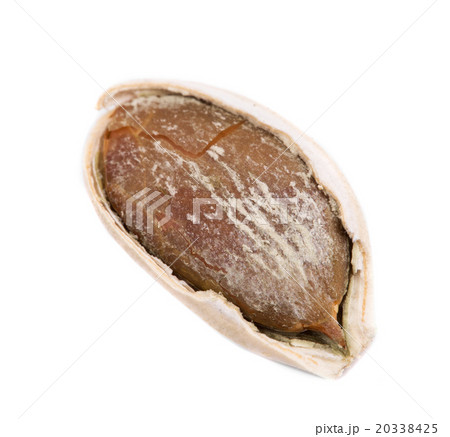 Pumpkin seed close up. 20338425