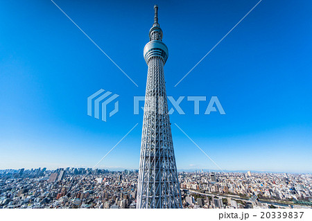 スカイツリー都市風景 スカイツリー都市風景 20339837