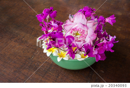 mix flower jasmine ,Frangipani,orchid 20340093