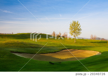 On a golf course at sunset On a golf course at sunset 20340726