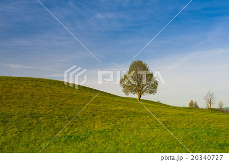On a golf course at sunset On a golf course at sunset 20340727