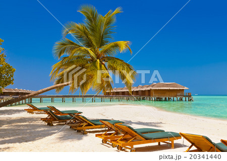 Loungers on Maldives beach 20341440