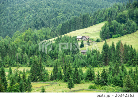 Traditional wooden mountain house on green field Traditional wooden mountain house on green field 20342262