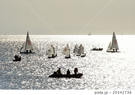 輝く海とヨット 20342736