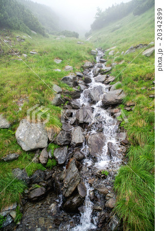 fast mountain river flowing among mossy stones 20342899
