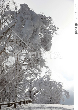 樹氷_洞爺 樹氷_洞爺 20342988