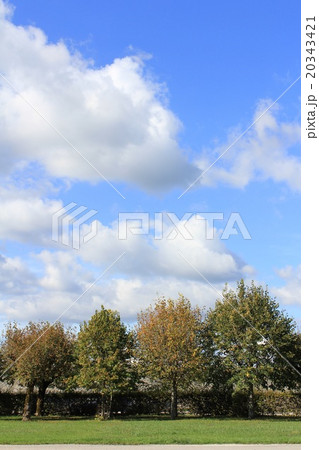 アル・ケ・スナン王立製塩所の庭園 フランシュ・コンテ アル・ケ・スナン王立製塩所の庭園 フランシュ・コンテ 20343421