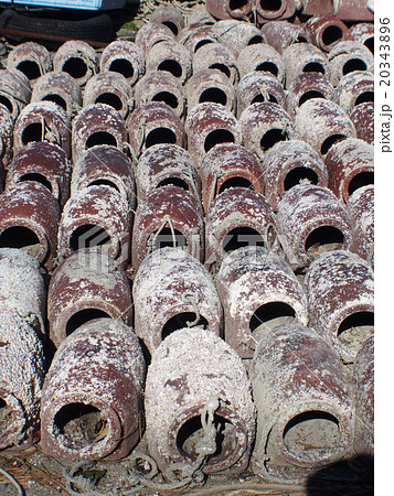 タコツボ タコツボ 20343896