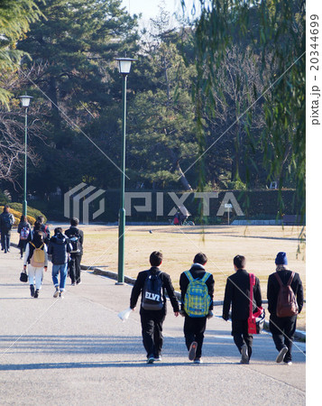 センター試験会場に向かう受験生 20344699