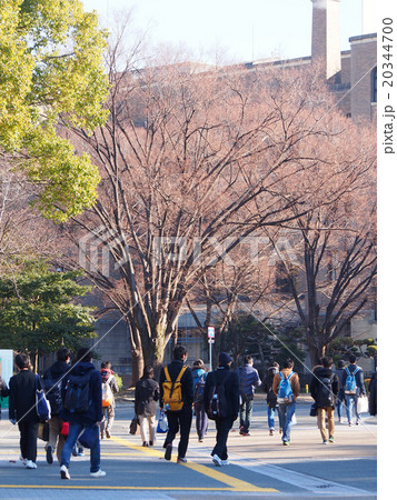 センター試験会場に向かう受験生 センター試験会場に向かう受験生 20344700