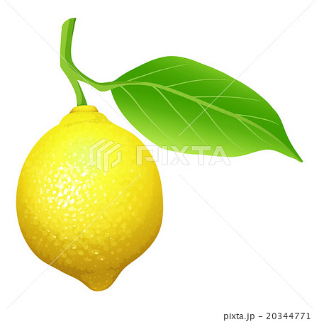 Fresh lemon with leaf Fresh lemon with leaf 20344771