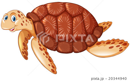 Brown turtle with happy face 20344940