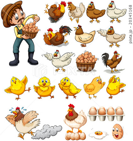 Farmer collecting eggs from chickens Farmer collecting eggs from chickens 20345168