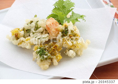 菜の花の天ぷら 菜の花の天ぷら 20345337