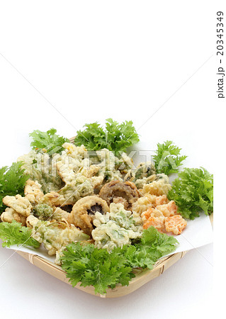 春野菜の天ぷら 春野菜の天ぷら 20345349