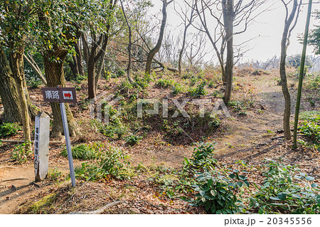 春の左和山城の風景 春の左和山城の風景 20345556