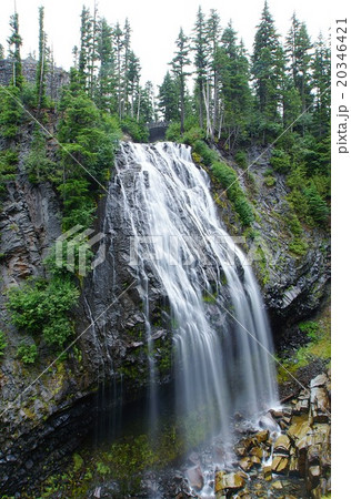 アメリカ　ワシントン州　マウントレーニー国立公園　ナラダ滝 20346421