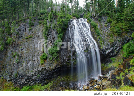 アメリカ　ワシントン州　マウントレーニー国立公園　ナラダ滝 20346422