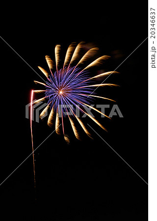花火 20346637