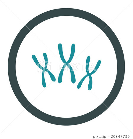 Chromosomes Rounded Vector Icon Chromosomes Rounded Vector Icon 20347739
