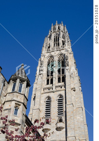 イエール大学キャンパス Yale University Campusの写真素材 イエール大学キャンパス Yale University Campusの写真素材