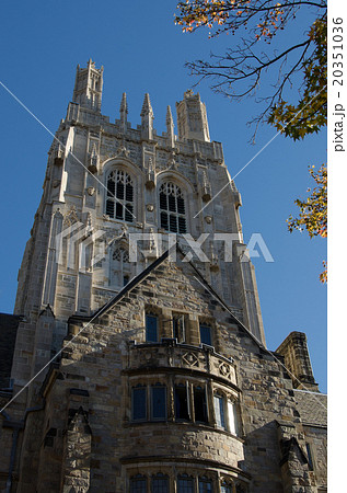 イエール大学キャンパス Yale University Campus イエール大学キャンパス Yale University Campus 20351036