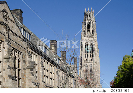 イエール大学キャンパス　Yale University Campus 20352462
