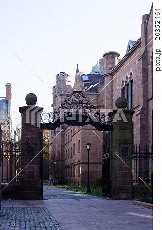 エール大学キャンパス　Yale University Campus 20352464