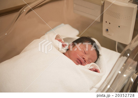 すやすや眠る出産直後の赤ちゃん すやすや眠る出産直後の赤ちゃん 20352728
