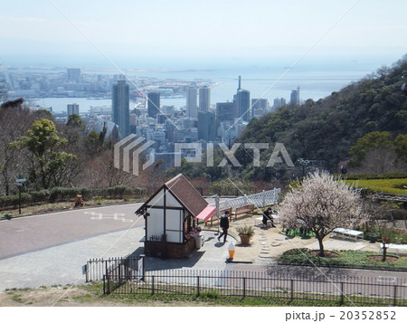 風の丘フラワー園から見た神戸の街 20352852