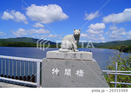 沖縄県西表島・仲間川 沖縄県西表島・仲間川 20353369