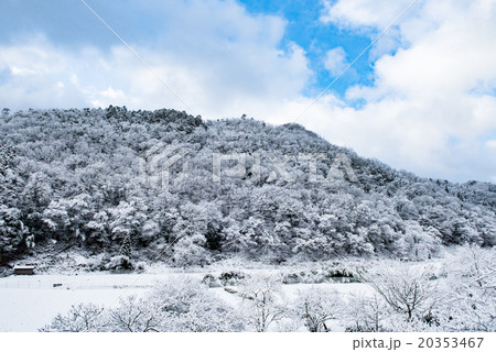 里山の雪景色 20353467