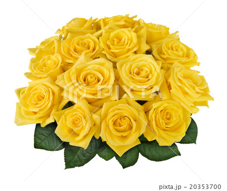 Yellow rose bouquet cutout Yellow rose bouquet cutout 20353700