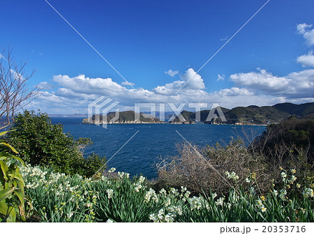 白崎海岸 白崎海岸 20353716