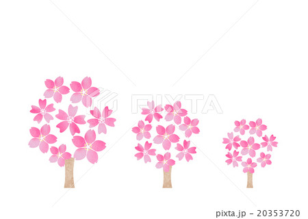 桜の木 背景白のイラスト素材 3537