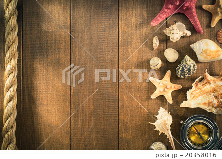 seashell on wooden background 20358016