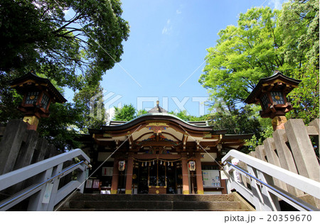北沢八幡宮 20359670