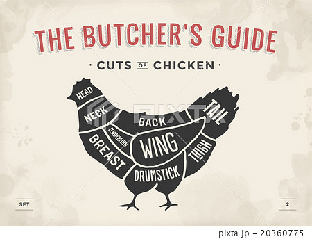 Cut of meat set. Poster Butcher diagram - Chicken Cut of meat set. Poster Butcher diagram - Chicken 20360775