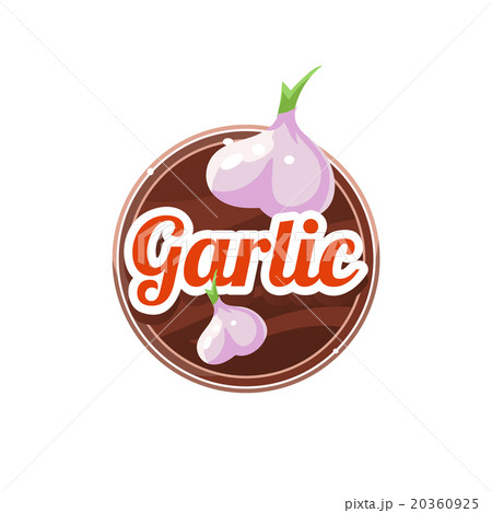 Garlic Spice. Vector Illustration. 20360925