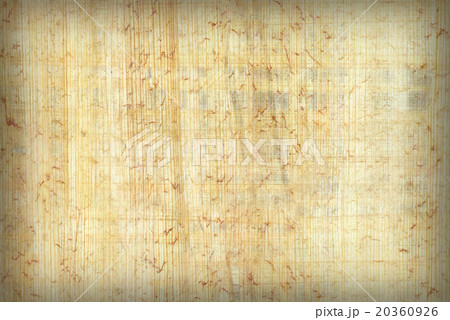 Papyrus paper 20360926