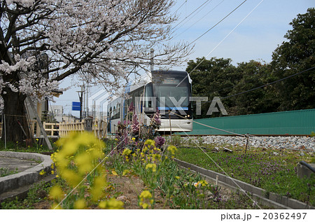 富山ポートラム 20362497