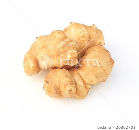 キクイモ キクイモ 20362703