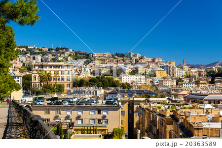View of Genoa city - Italy, Liguria 20363589