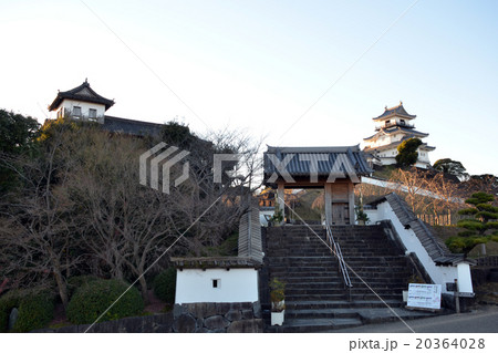 掛川城　全景 20364028