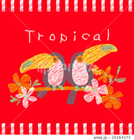 熱帯性の鳥と花グラフィック デザイン ファッション T シャツ プリントのイラスト素材